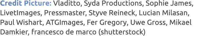 Credit Picture: Vladitto, Syda Productions, Sophie James, LivetImages, Pressmaster, Styve Reineck, Lucian Milasan, Pa...