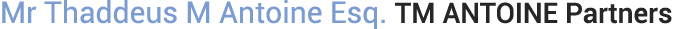 Mr Thaddeus M Antoine Esq. TM ANTOINE Partners